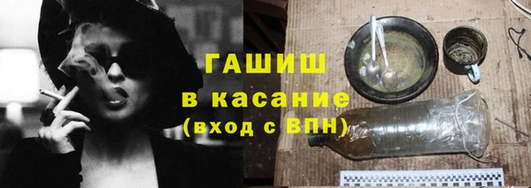 индика Богданович