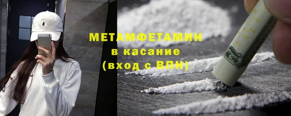 индика Богданович