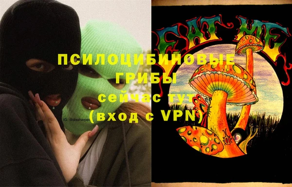 индика Богданович