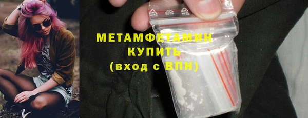 индика Богданович