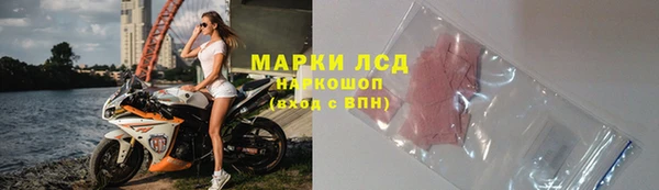индика Богданович