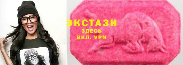 ECSTASY Гусев