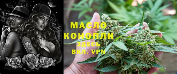 индика Богданович