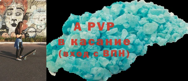 индика Богданович