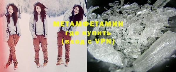 индика Богданович